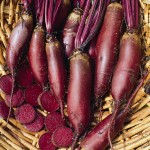 Cylindra Beetroot