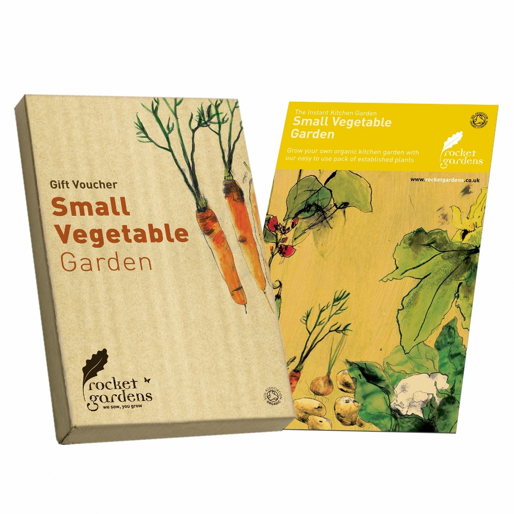 small vegetable garden gift voucher rocket gardens small vegetable garden gift voucher rocket gardens