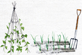 choose a garden