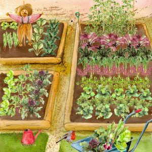 Autumn Winter Large Vegetable Garden