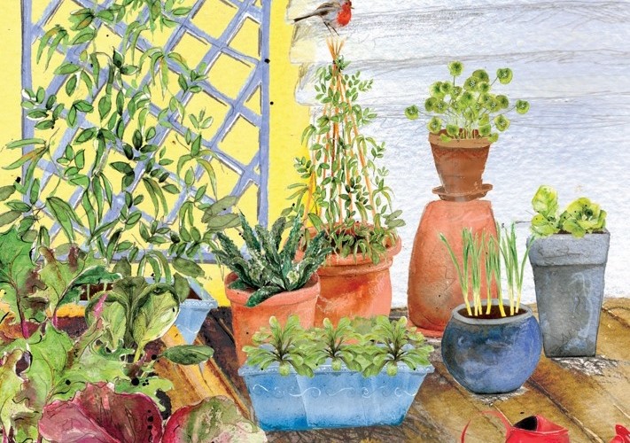 Autumn Winter Patio Container Garden
