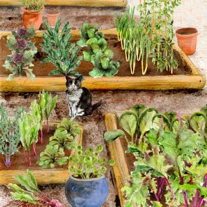 Autumn Winter Small Vegetable Garden