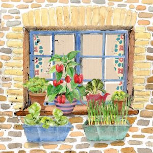 Autumn Winter Window Box Garden