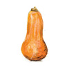 Butternut Squash