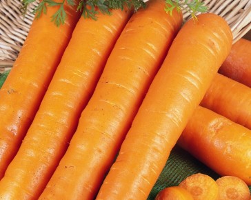 Carrots