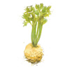 celeriac