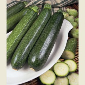 Courgette