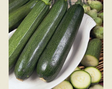 Courgette