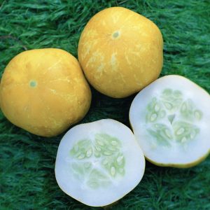 Crystal Lemon Cucumber
