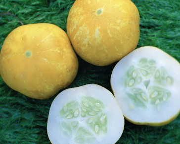 Crystal Lemon Cucumber