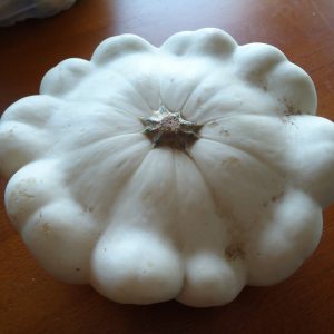 Custard White Summer Squash