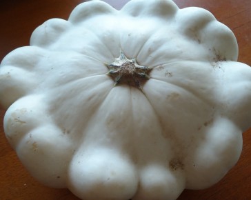Custard White Summer Squash