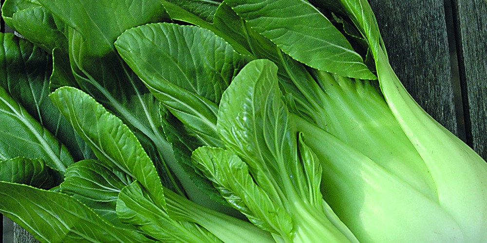 Hanakan Pak Choi