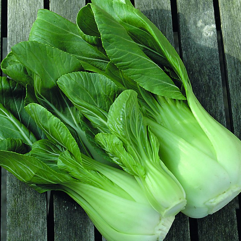 Hanakan Pak Choi