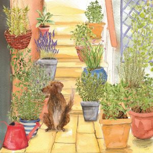 Herb Garden
