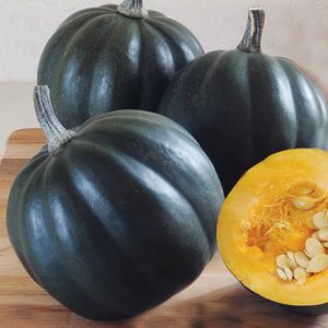 Honey Bear Winter Squash