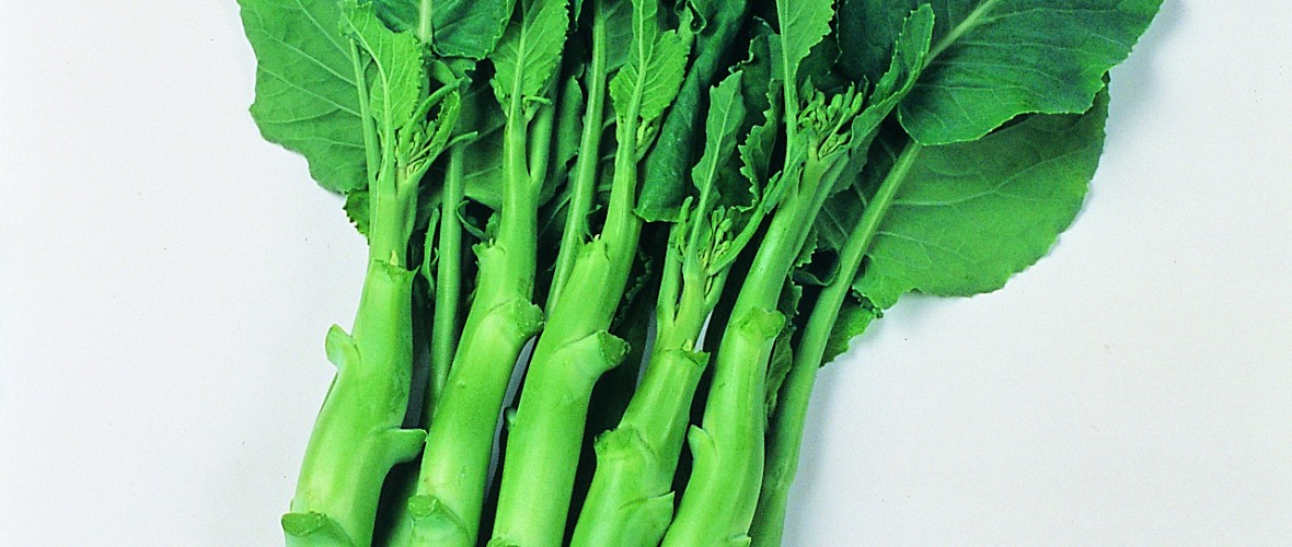 Kailaan Chinese Kale