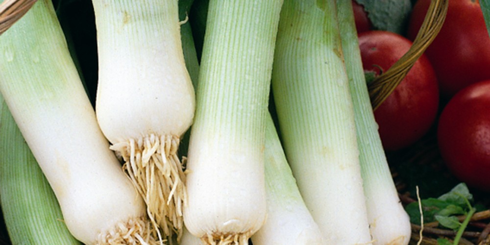 Leeks