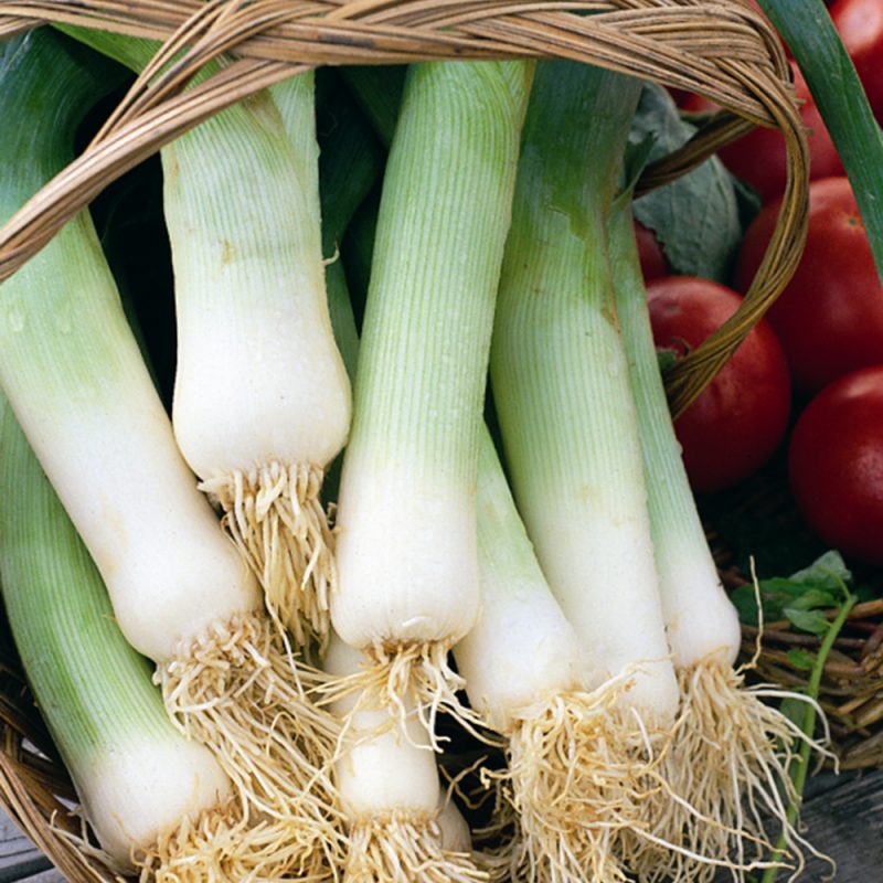 Leeks