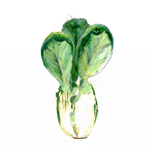 Pak Choi