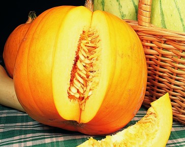 Pumpkins