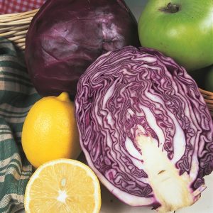Red Cabbage