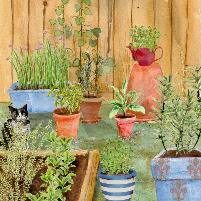 School Herb Garden