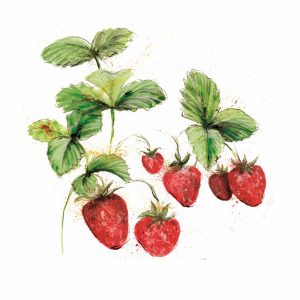 School Strawberry Selection