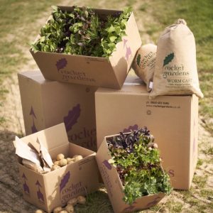 Small Constant Garden