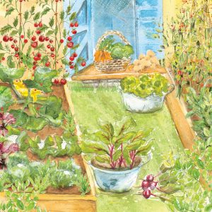 Small Vegetable Garden