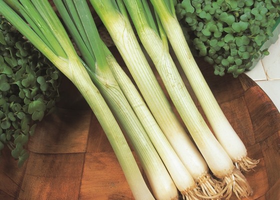 Spring Onions