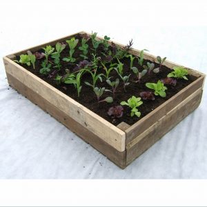 Traditional Wooden Crate Planter