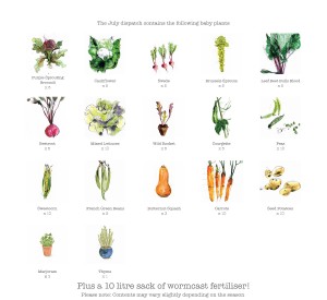 Urban Constant Garden July Contents
