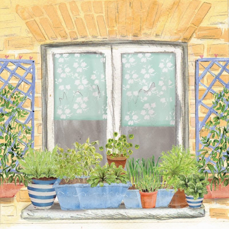 Window Box Garden