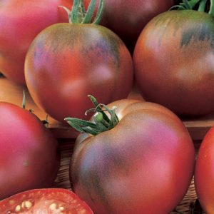 Black Russian Tomato