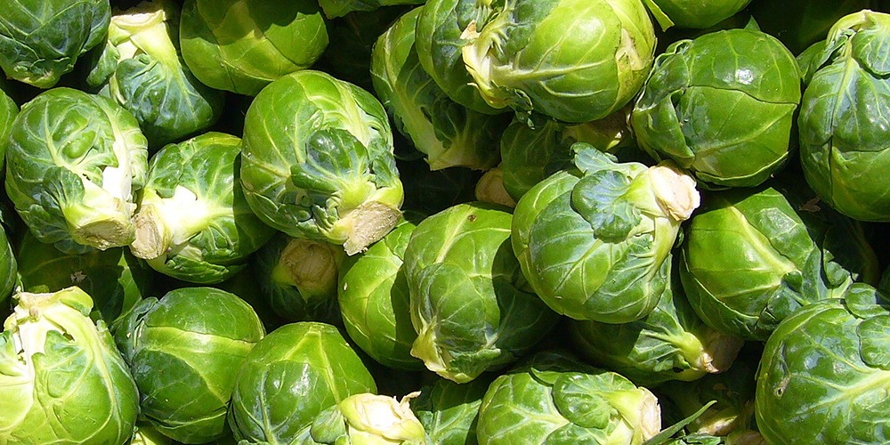 brussels sprouts