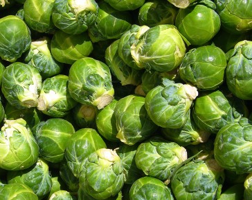 brussels sprouts