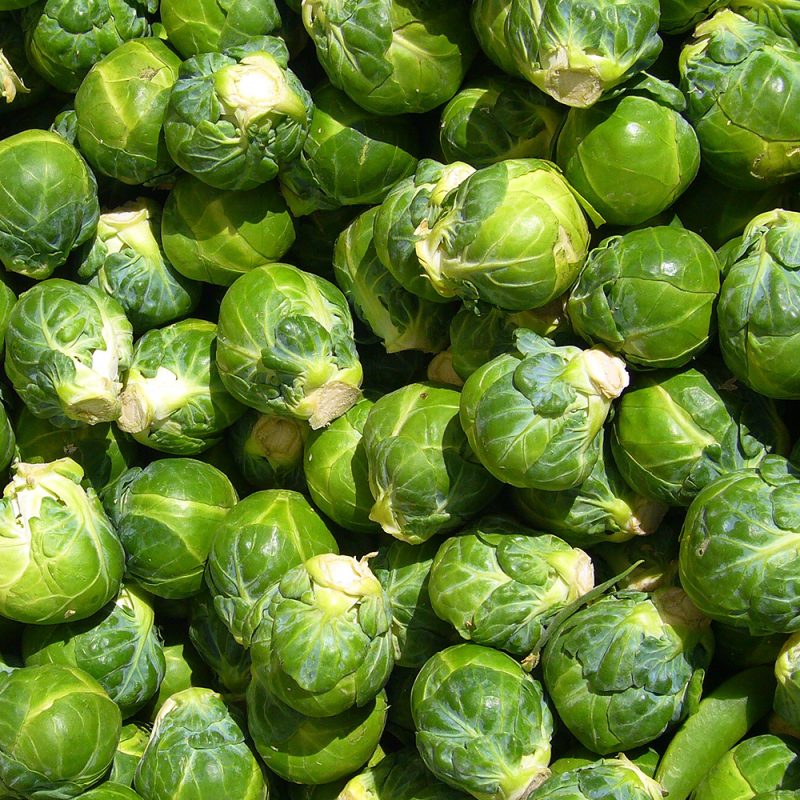 brussels sprouts