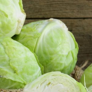 white cabbage