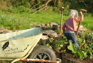 growing with rocket gardens