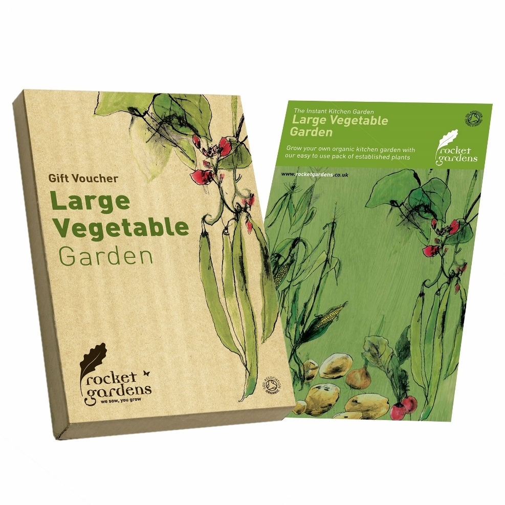 large vegetable garden gift voucher rocket gardens large vegetable garden gift voucher rocket gardens