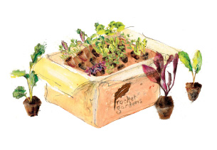 box
