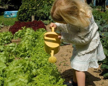 watering