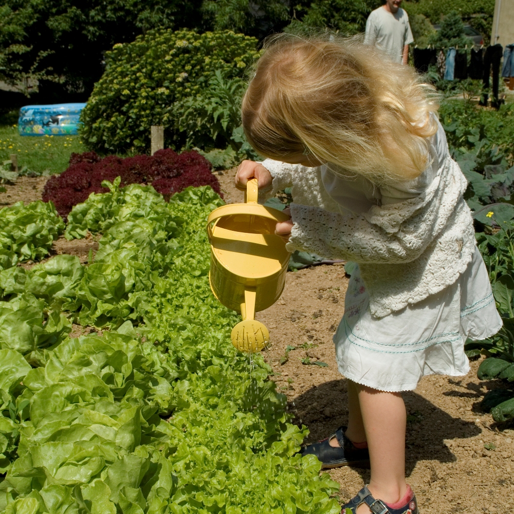 watering