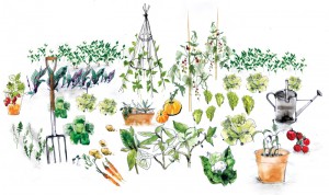Constant Garden