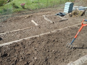 ready for planting