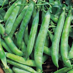 peas