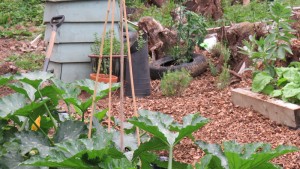 garden