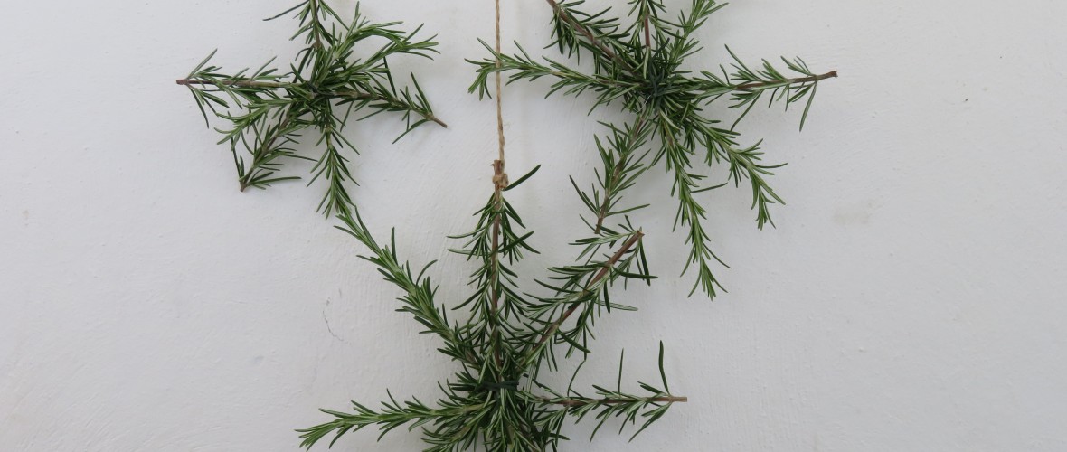 rosemary snowflake