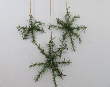 rosemary snowflake